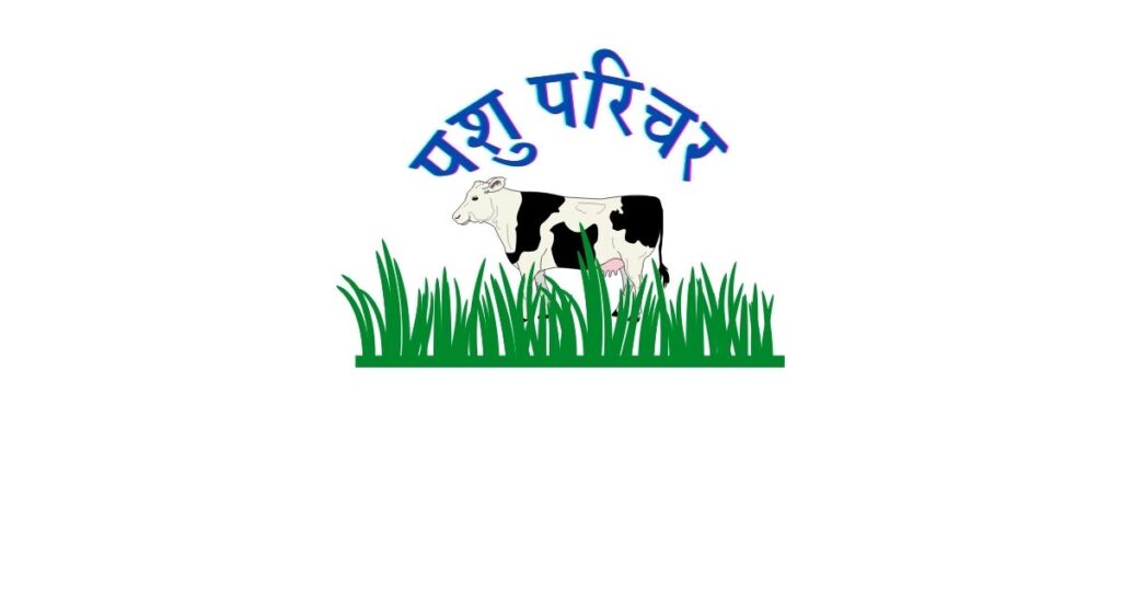 terminology related to animal husbandry-पशुपालन से सम्बंधित शब्दावली pashu parichar